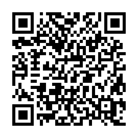 QR code for H539LG