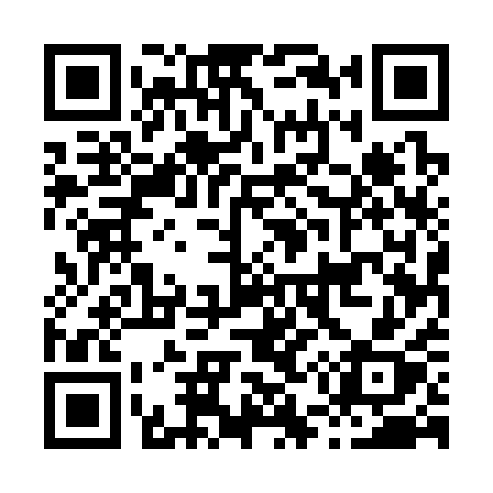 QR code for H5531X