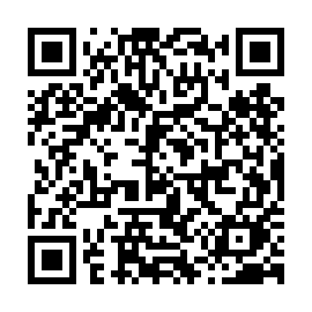 QR code for H55TEM