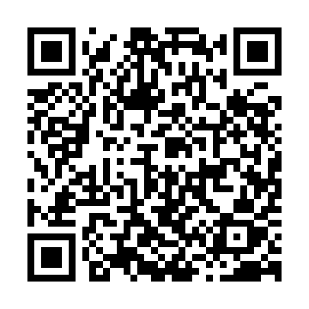 QR code for H619AZ