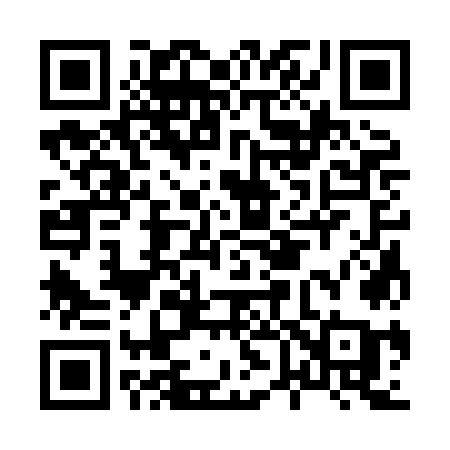 QR code for H638OA