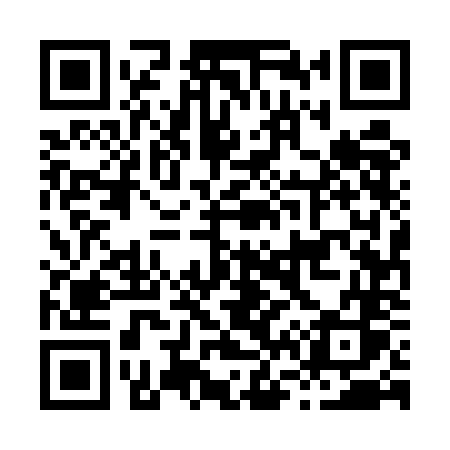 QR code for H655NS