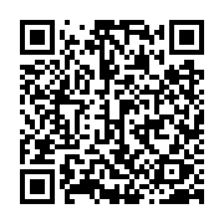 QR code for H667RX