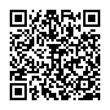 QR code for H66ZYP