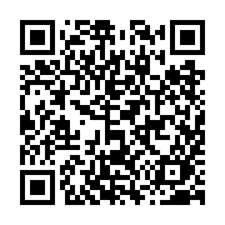 QR code for H717IO