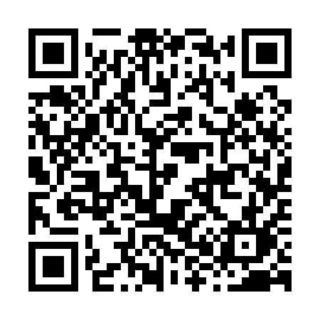 QR code for H8311L