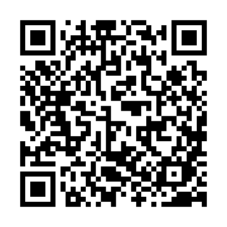 QR code for H8838M