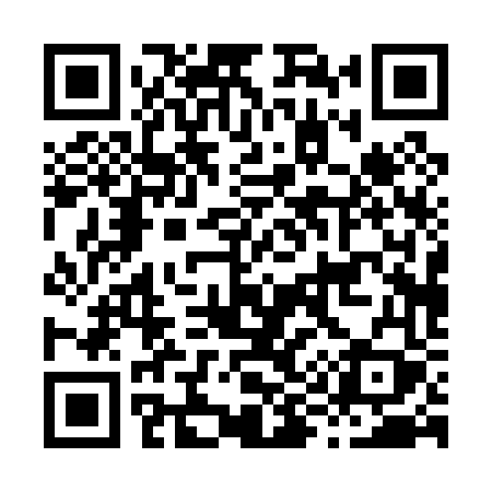 QR code for H9006Y