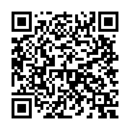 QR code for H9553Q