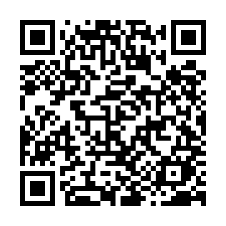 QR code for H96EMM