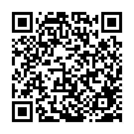 QR code for H9738F