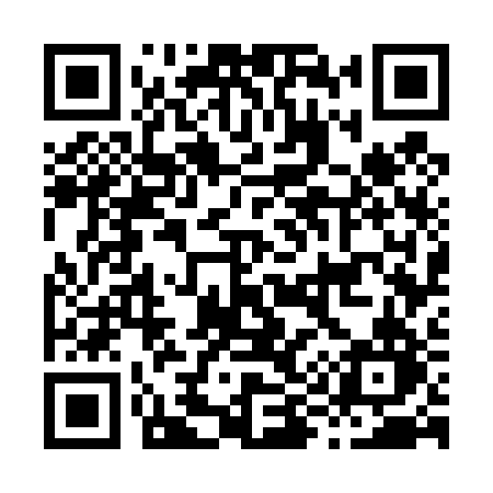 QR code for H9742N