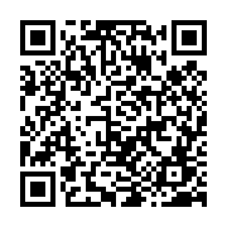 QR code for H9747V
