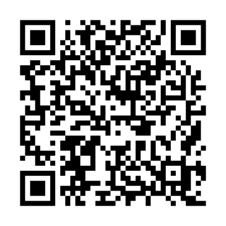 QR code for H9917I
