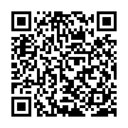 QR code for HAMN20