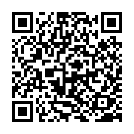 QR code for HFS29X