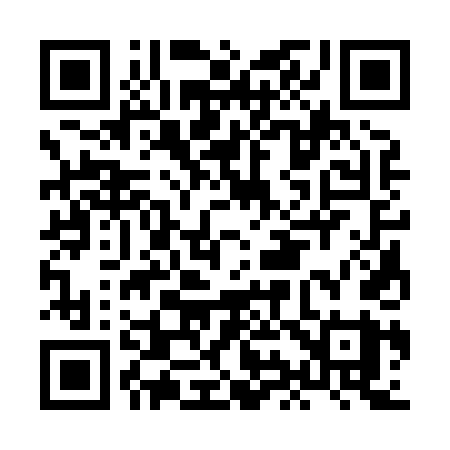 QR code for HI384Y