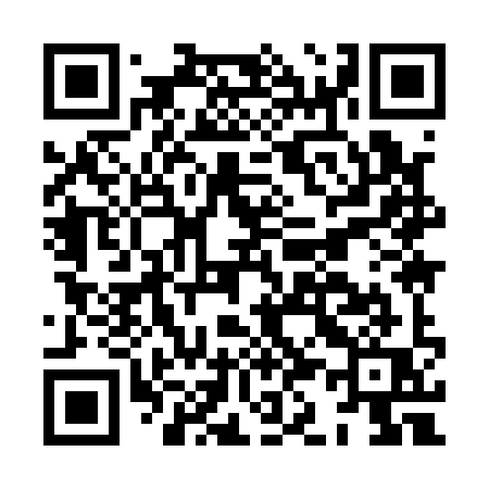 QR code for HK919Q