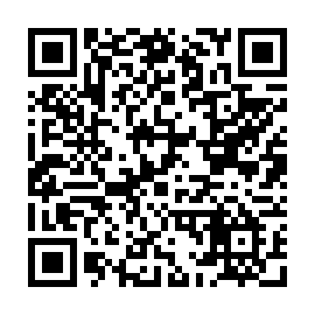 QR code for HL266M