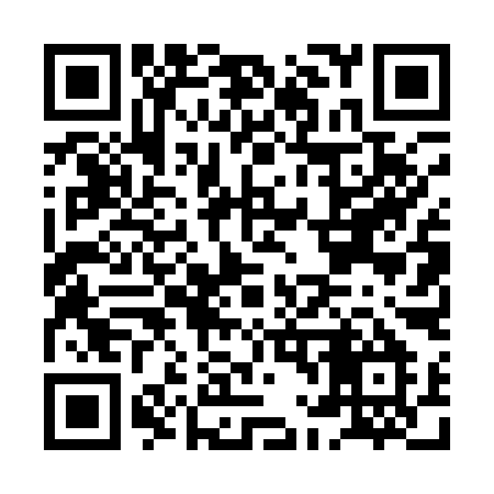 QR code for HL419M
