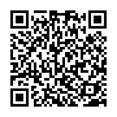 QR code for HLT03I