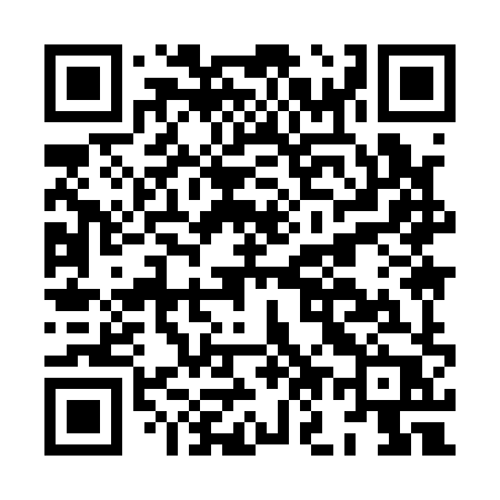 QR code for HO918P