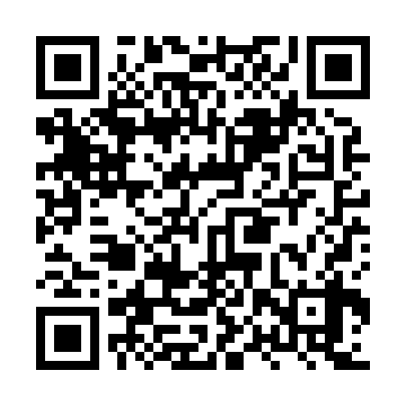QR code for HPZX38