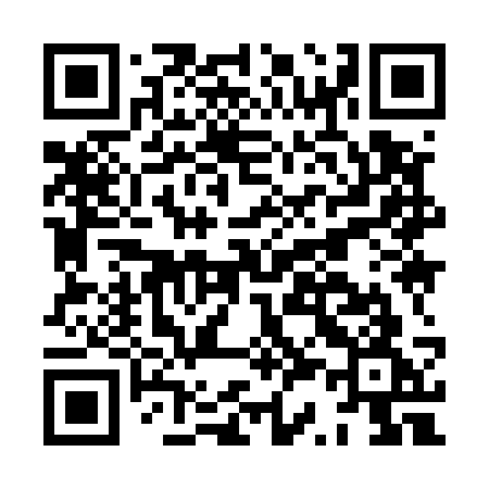 QR code for HS953G