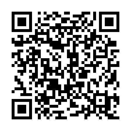 QR code for I313RI