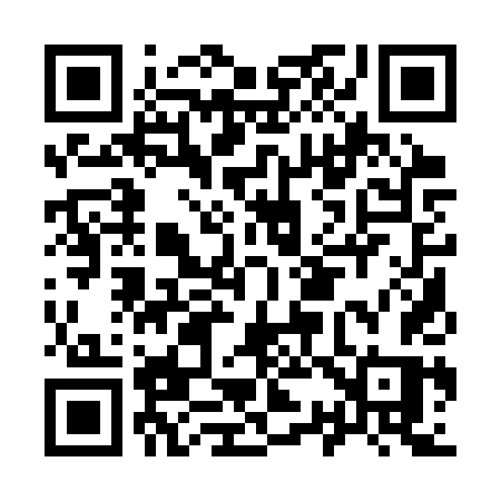 QR code for I313TS