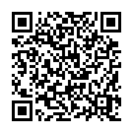 QR code for I393HV