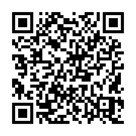 QR code for I699LS