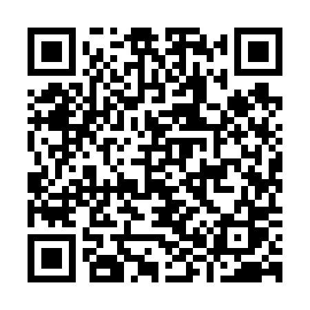 QR code for I8960S