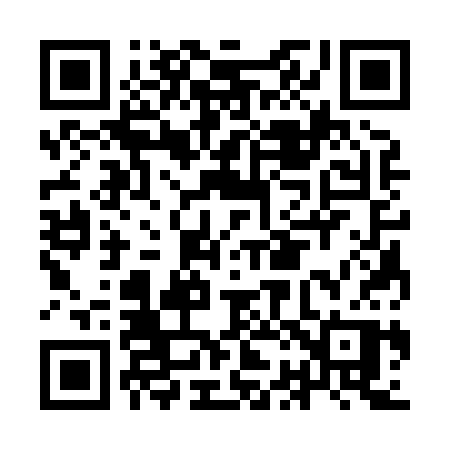 QR code for IB383P