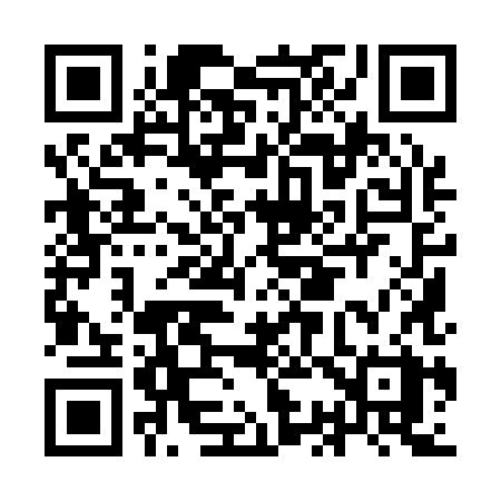 QR code for IC918X