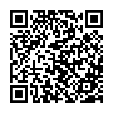 QR code for IE004N