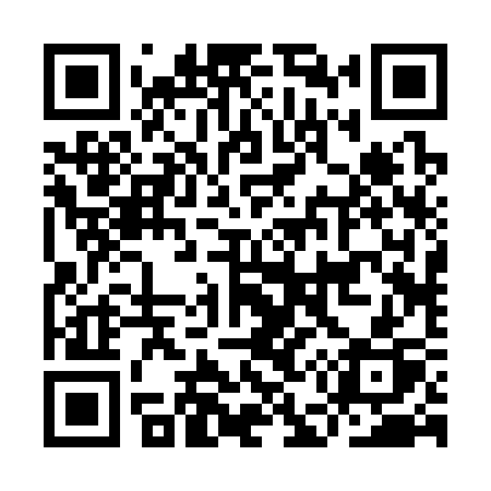 QR code for IE233P