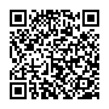QR code for IE489Y