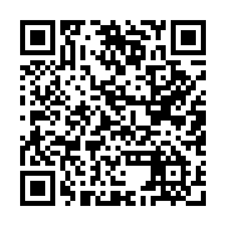 QR code for IEE51M