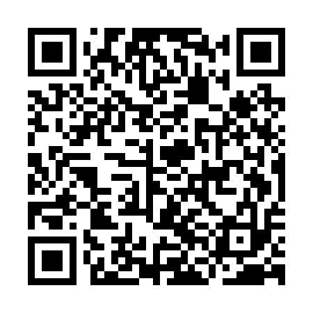 QR code for IFEB13