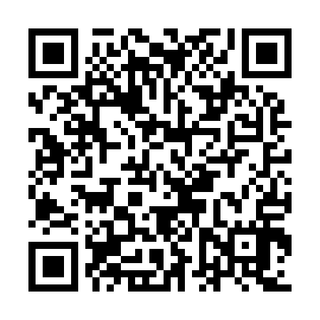 QR code for IFVI17