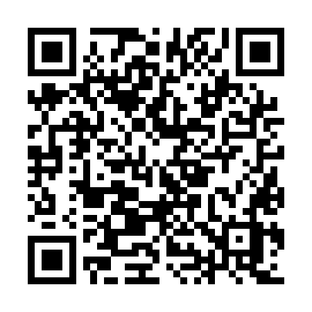 QR code for II61LZ