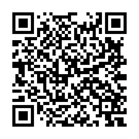 QR code for IJEX06