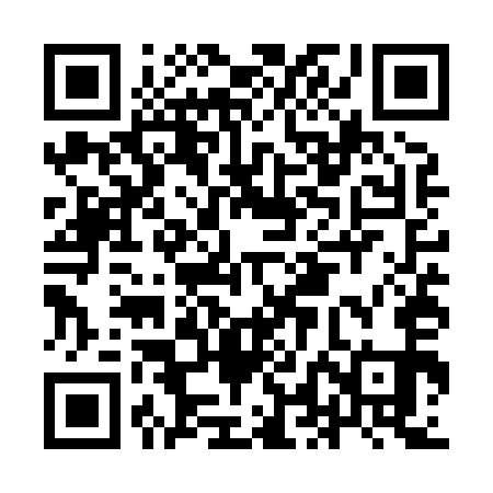 QR code for ILEX51