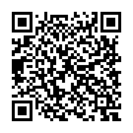 QR code for IN495Y