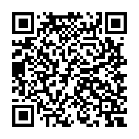 QR code for IN518V