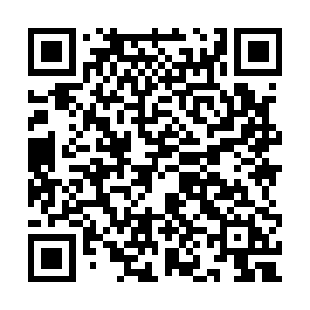 QR code for IN910H