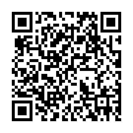 QR code for INT30Q