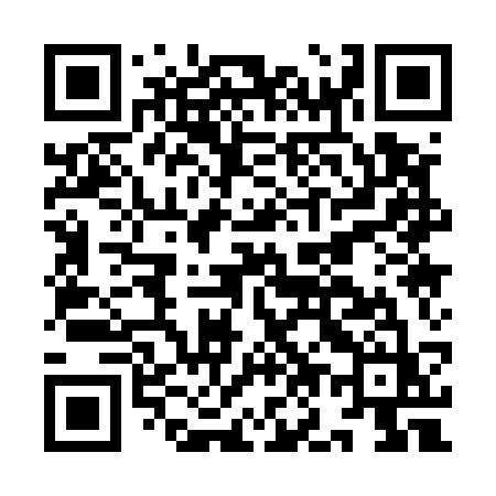 QR code for IO153Z