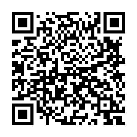 QR code for IP381H
